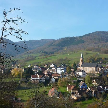 Gite Schlitteur Et Sapiniere Breitenbach Eksteriør bilde
