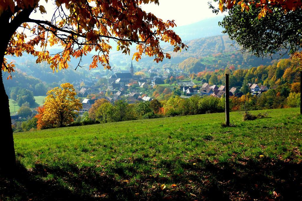Gite Schlitteur Et Sapiniere Breitenbach Eksteriør bilde