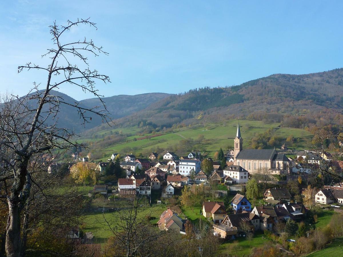 Gite Schlitteur Et Sapiniere Breitenbach Eksteriør bilde